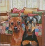 (image for) Pin Pals